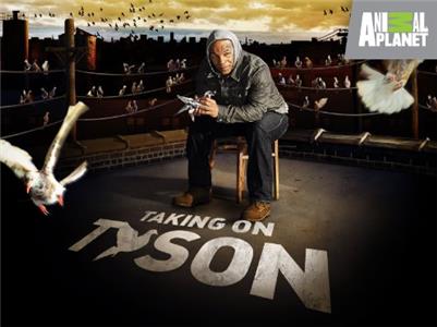 Taking on Tyson The Birth of Team Tyson (2011– ) Online