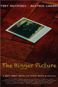 The Bigger Picture (2011) Online