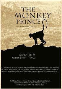 The Monkey Prince (2003) Online