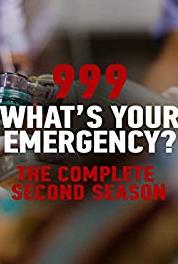 999: What's Your Emergency? Immigrants & Hate Crime (2012– ) Online