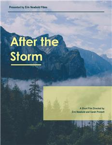 After the Storm (2016) Online