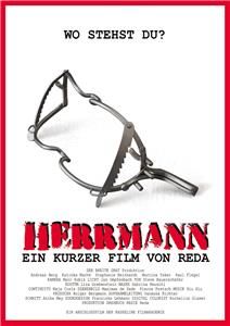 Herrmann (2013) Online