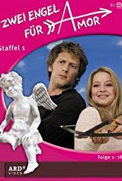 Zwei Engel für Amor Liebe und Sicherheit (2006– ) Online