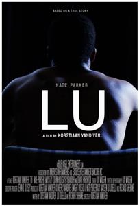 Lu (2013) Online