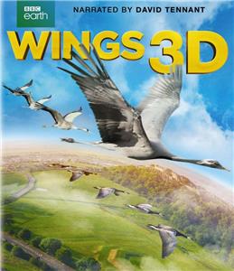 Wings (2014) Online