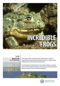 Incredible Frogs (2015) Online