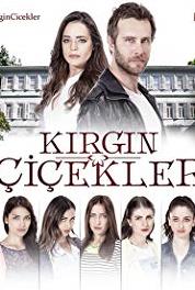 Kirgin Çiçekler Episode #1.16 (2015–2018) Online