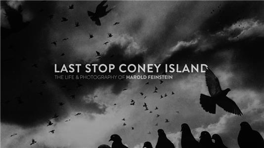 Last Stop Coney Island: The Life and Photography of Harold Feinstein  Online