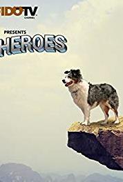 Pet Heroes Legacy of Hope (2010–2012) Online