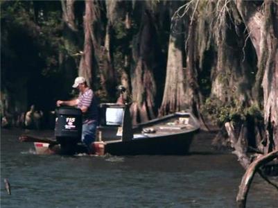 Swamp People Scorched (2010– ) Online