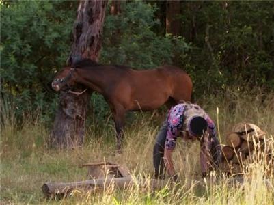 The Saddle Club All That Glitters (2001–2009) Online