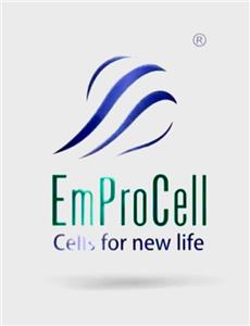 Emprocell: Corporate Film (2013) Online