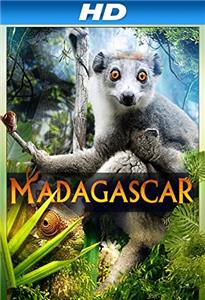 Madagascar 3D (2013) Online
