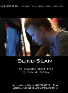 Blind Seam (2016) Online