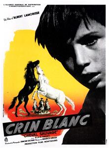 Crin blanc: Le cheval sauvage (1953) Online