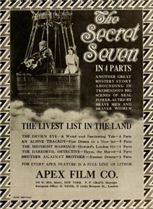 Paul Sleuth and the Mystic Seven (1914) Online