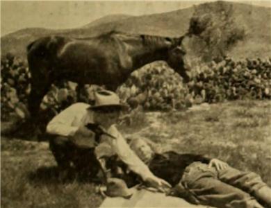 The Sheriff's Captive (1911) Online