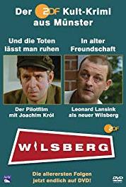 Wilsberg Todesengel (1995– ) Online