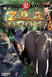 Zoo Diaries A White Tiger Wanes (2000–2004) Online